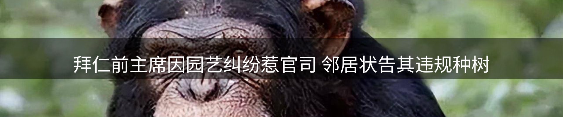 新闻资讯