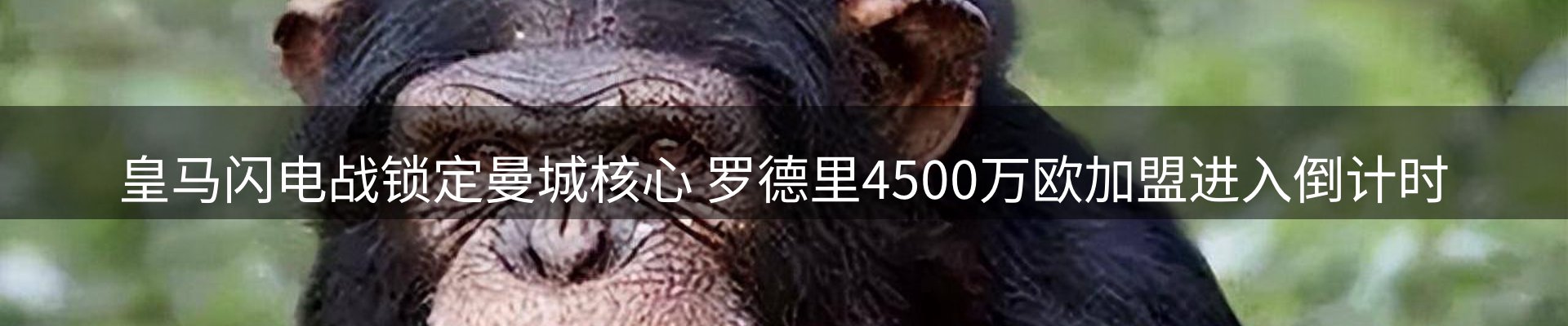 新闻资讯