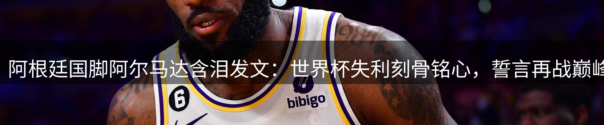 新闻资讯