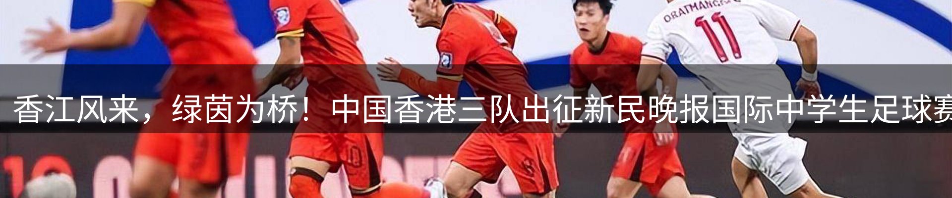 新闻资讯