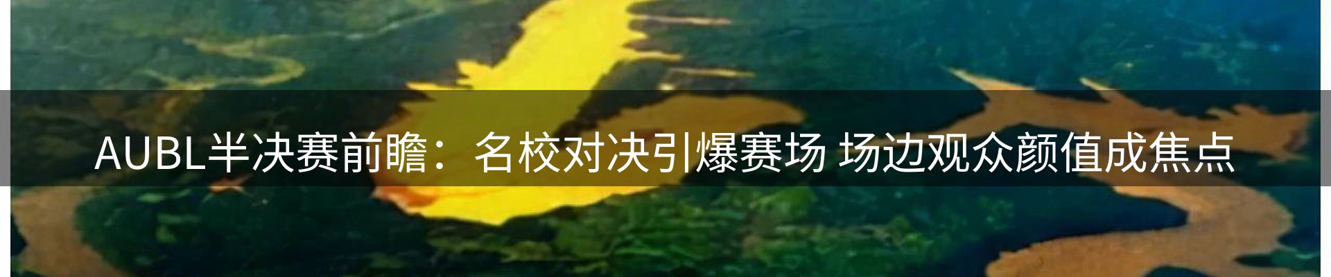 新闻资讯